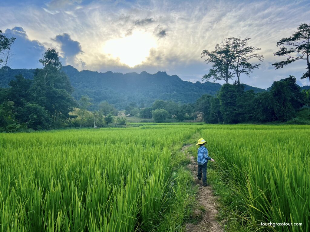 Child in bright yellow hat walking through vivid green rice paddies with lush karst mountains in Umphang, Thailand.