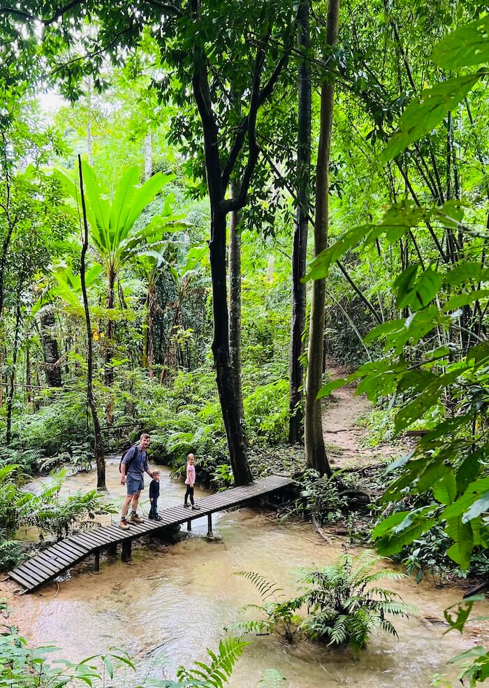A father and two children crossing a small wooden bridge over a stream on the well-maintained trail in Doi Luang National Park, Chiang Rai.
