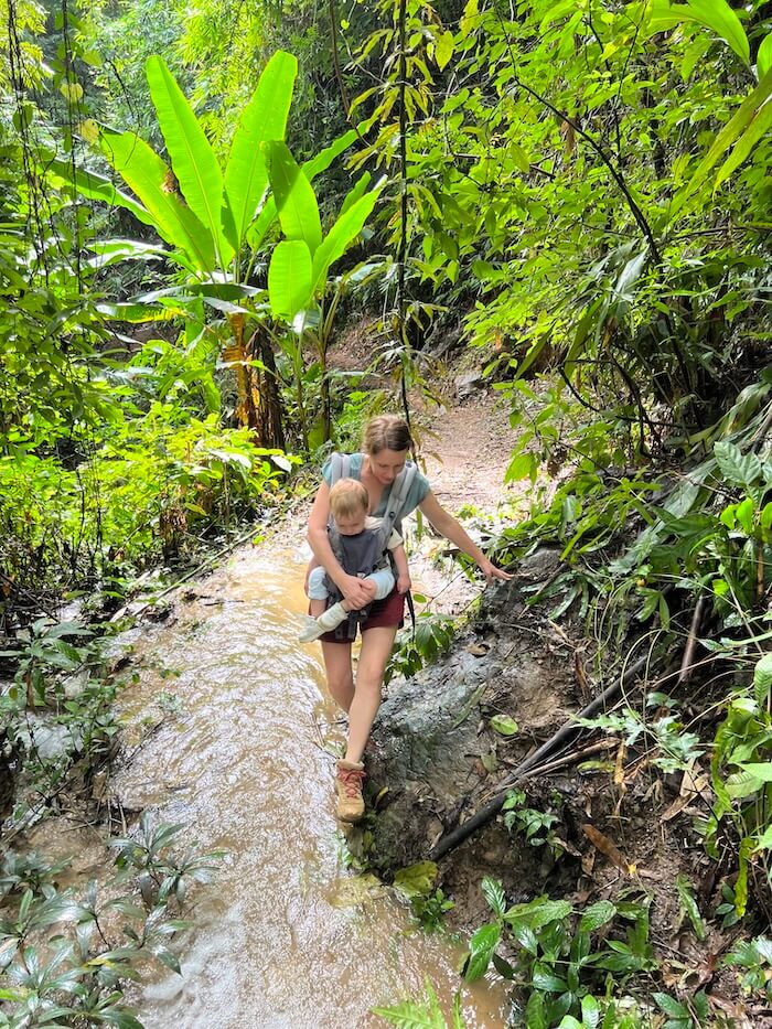 A mother hikes a wet jungle trail with a baby in a carrier, illustrating the trek to Phu Kaeng Waterfall in Doi Luang National Park.
