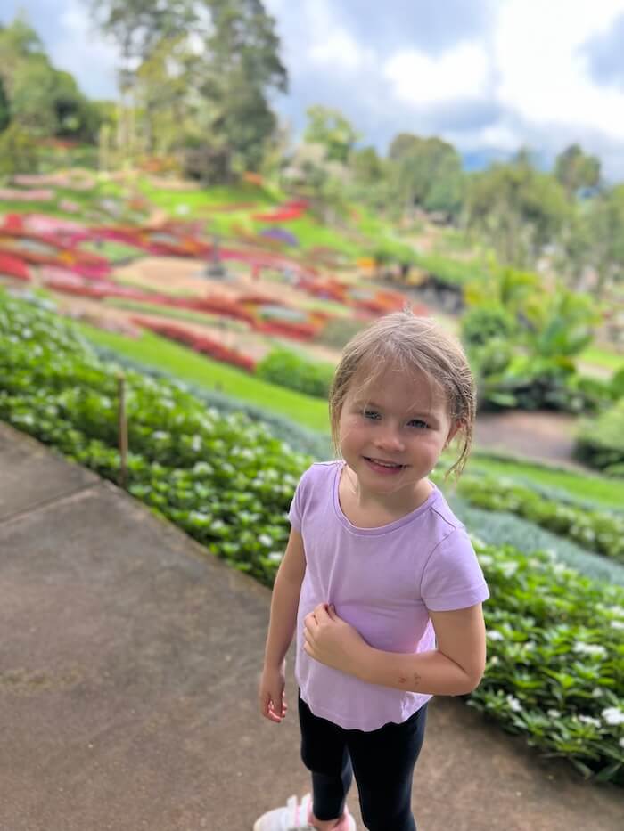 A colorful temperate flower garden at Mae Fah Luang Garden, Doi Tung, featuring tiered flower beds and lush mountain scenery in Chiang Rai.