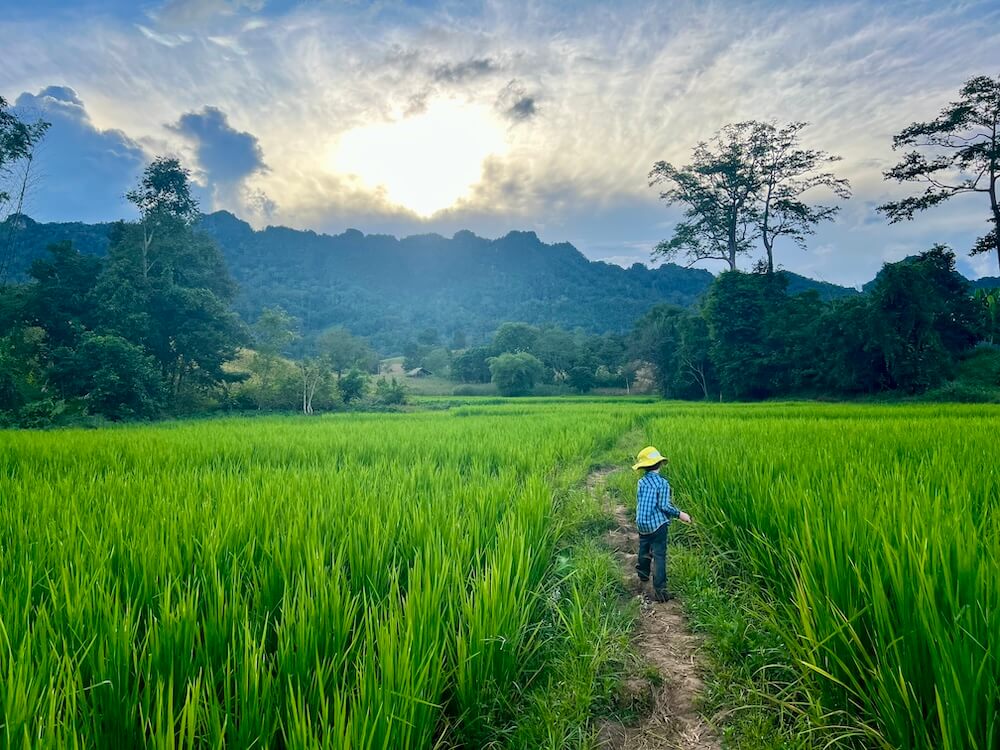 A child with a yellow hat walking alone on a path through lush green rice fields toward mountains under a bright sun, representing discovery and worldschooling