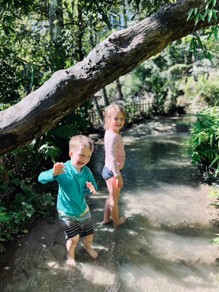 Two young children playing in the shallow, clear water of Bua Tong Sticky Waterfall in Chiang Mai, Thailand, under a leaning jungle tree.
