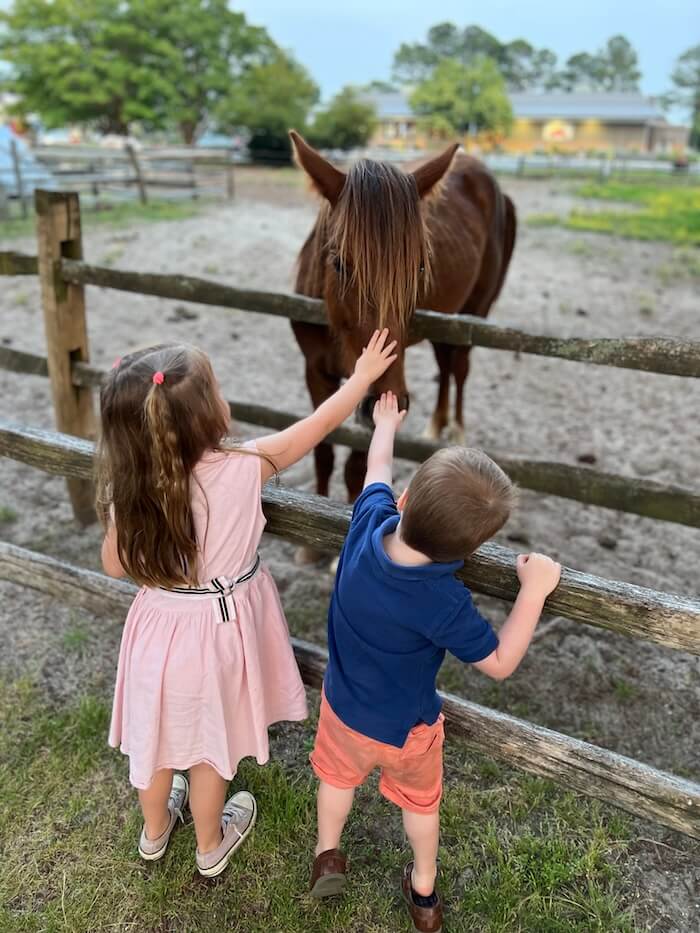 A young girl in a pink dress and a boy in a blue shirt reaching out to touch a brown horse over a wooden farm fence.