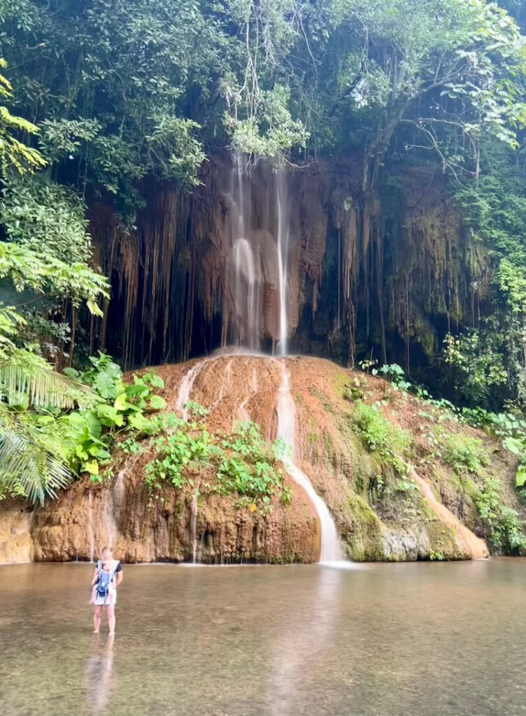 Phu Sang Warm Waterfall Calcified Roots and Tufa Close-up view of the Phu Sang Warm Waterfall showing porous, mineral-encrusted limestone (tufa) and calcified plant roots along the rock face.