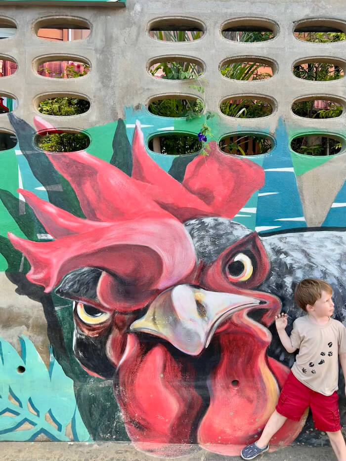 Lampang Rooster Street Art Mural A young boy in a tan t-shirt and red shorts stands next to a large, vibrant street art mural of a rooster's head painted on a textured concrete wall with oval cutouts.