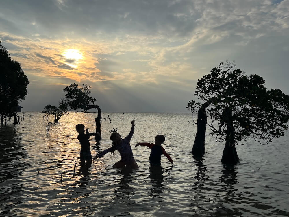 Silhouettes of three children playing in shallow ocean water among mangrove trees at sunset in Sumba, Indonesia.