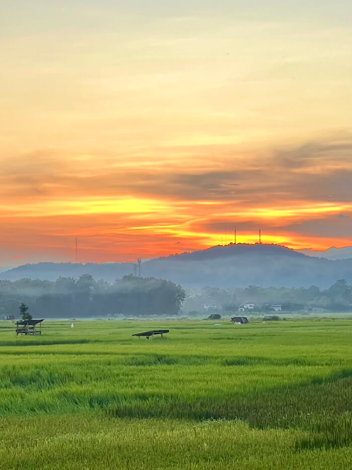 A vibrant sunset with orange and yellow clouds over a lush green rice field and misty mountains in Pua, Nan, Thailand.