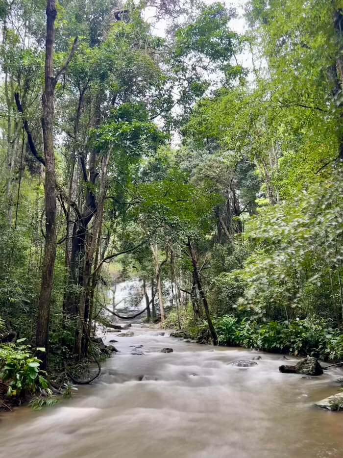 A long-exposure photograph of a river flowing through a lush, green tropical jungle on the Pha Dok Siew Nature Trail in Doi Inthanon.
