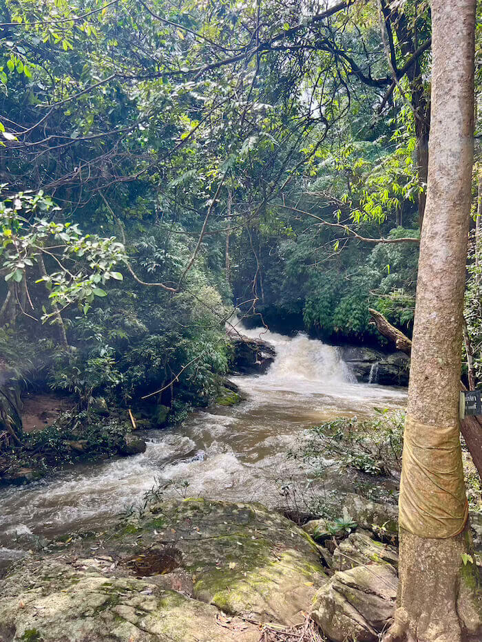 A mountain river flowing past a large tree in the foreground that is wrapped in a saffron-colored cloth, set within a lush green forest.
