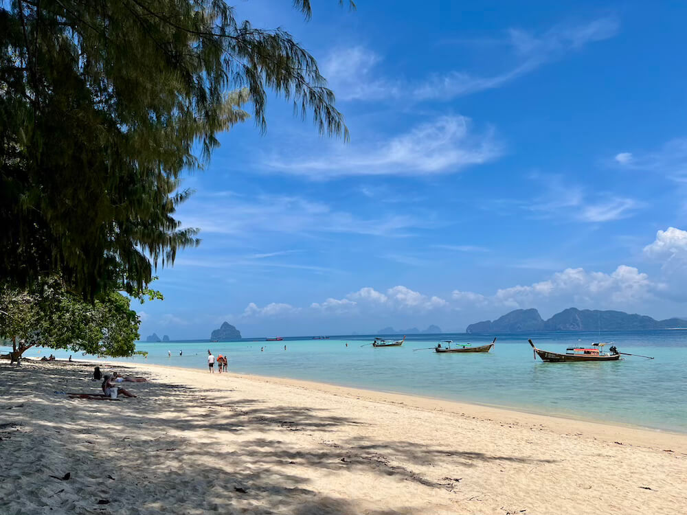 A wide view of Long Beach on Koh Ngai, showing traditional longtail boats anchored in crystal-clear turquoise water under a bright blue sky with pine trees in the foreground.