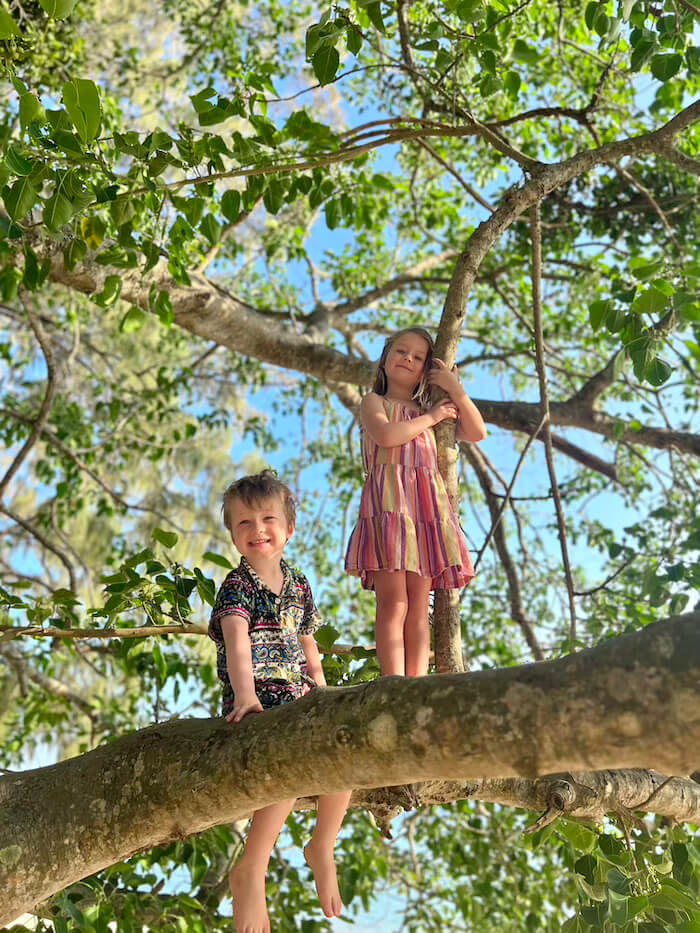 Two young children, a boy and a girl, sitting and standing on a large, low-hanging tree branch with green leaves against a bright blue sky on Koh Muk.