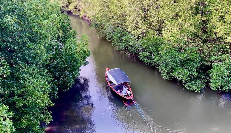 A high-angle view of a traditional small motorized boat with a canopy navigating a narrow river flanked by dense, lush green mangrove forests in Rayong, Thailand.
