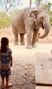 A young girl in an elephant-patterned dress standing at a safe distance, observing a large rescued Asian elephant at the Wildlife Friends Foundation Thailand.