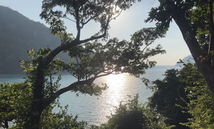 A view of the sparkling Andaman Sea at sunset, framed by lush tropical trees from the balcony of a national park bungalow.