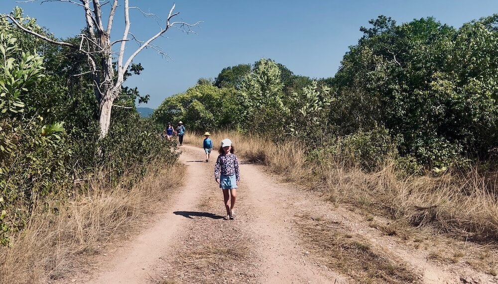 Trekking the Paperbark Savannah A family walks along a hard-packed dirt path through a dry, golden grassland dotted with paperbark trees and green shrubs under a clear blue sky.