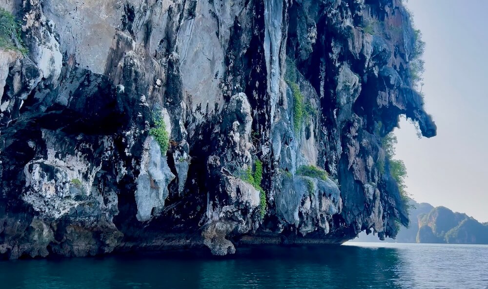 Sheer, deeply eroded limestone karst cliffs with hanging stalactites rising out of the water in Phang Nga Bay, Thailand.