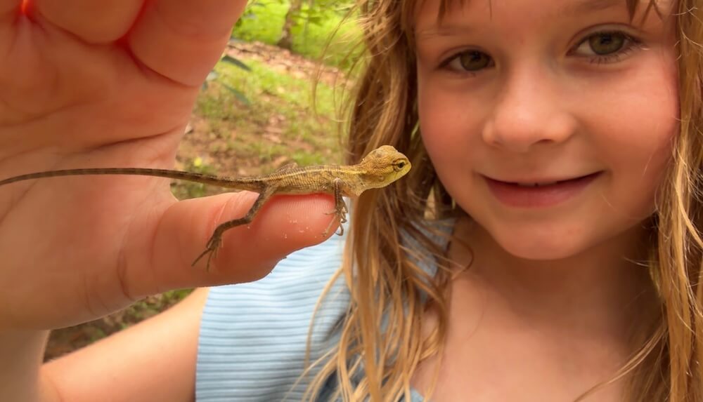 A young girl gently holding a tiny garden lizard perched on her outstretched finger