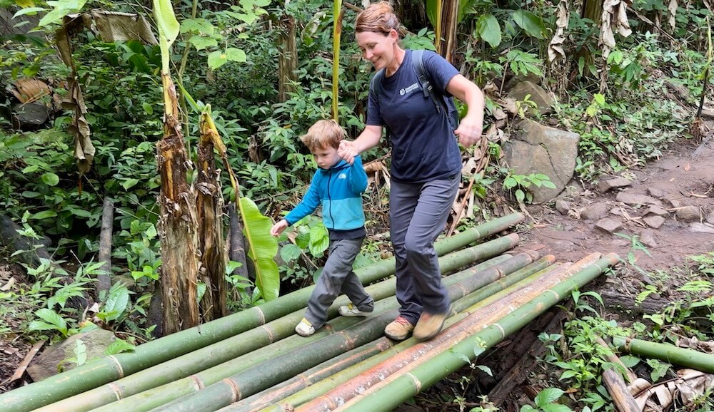 A mother holding her young son's hand as they cross a green bamboo log bridge on a jungle trail