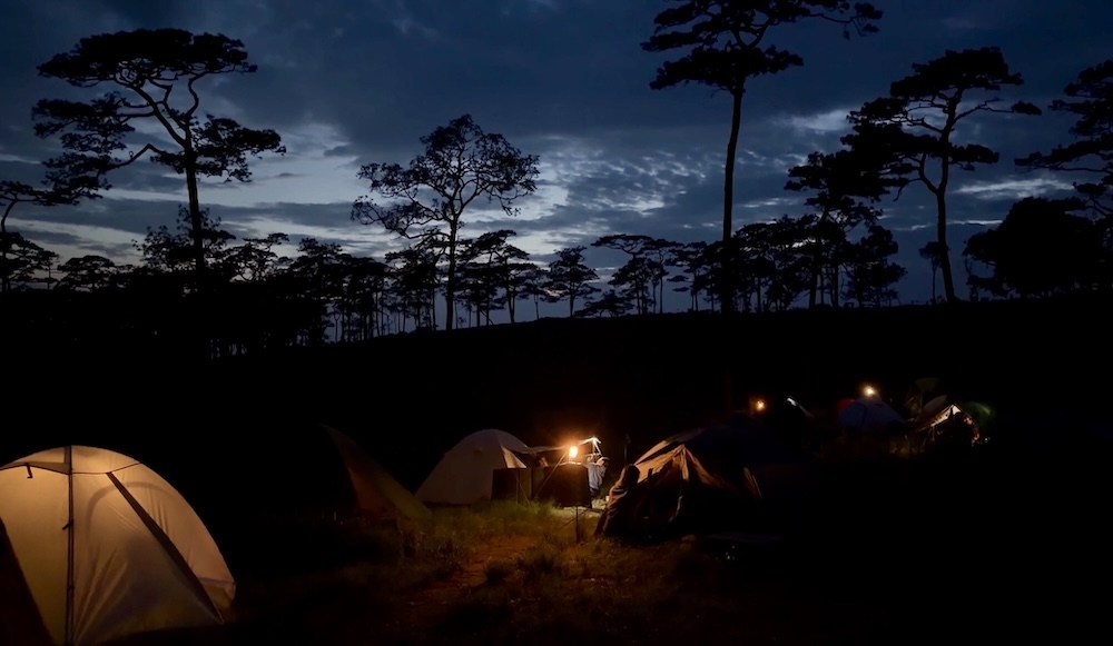 Illuminated camping tents glowing at twilight beneath tall pine tree silhouettes on a mountain plateau