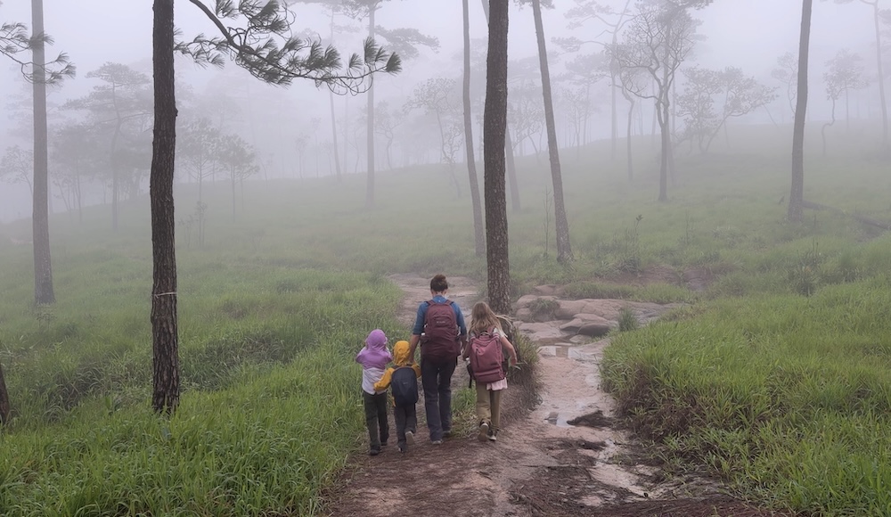 A family walking down a dirt path through a grassy alpine meadow filled with pine trees enveloped in dense mist