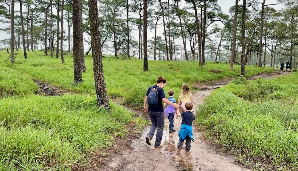 A family walking along a muddy sandy trail through a pine meadow with tall three-leaf pines