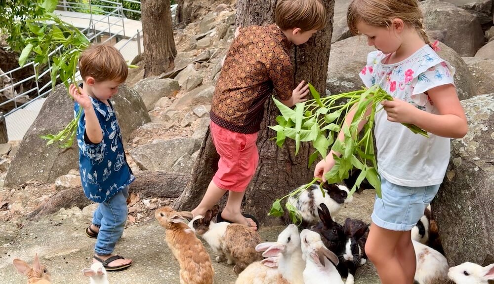 Isobel, Henry, and Charlie feeding bunches of leafy green morning glory to dozens of rabbits outdoors at Wat Phra Putthabat Phu Kwai Ngoen in Chiang Khan.